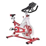 WJFXJQ Vélo d'exercice Vélo d'intérieur vélo, réglable Réticence Mute Cyclisme en Salle vélo, pédales exerciseur Tablet Holderr Fixe Vélos d'exercice